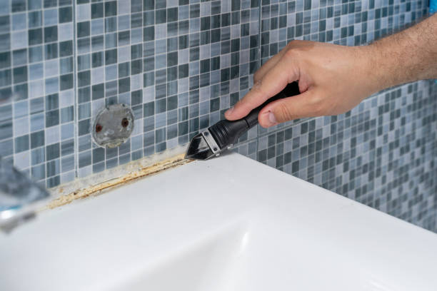 Reliable Glide, OR Mold Removal Solutions